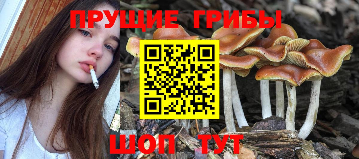 Галлюциногенные грибы мухоморы Грозный