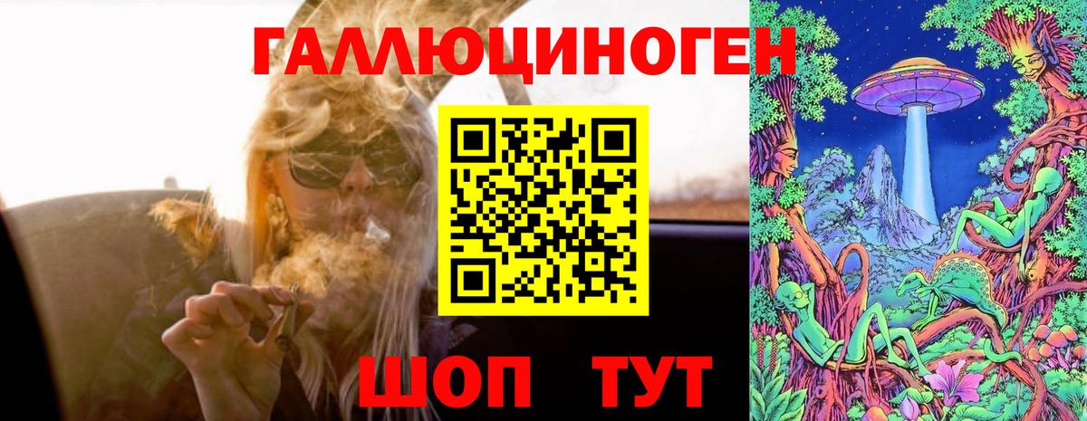 Псилоцибиновые грибы мухоморы  Галлюциногенные грибы мухоморы  Грозный  купить   Вход с VPN 