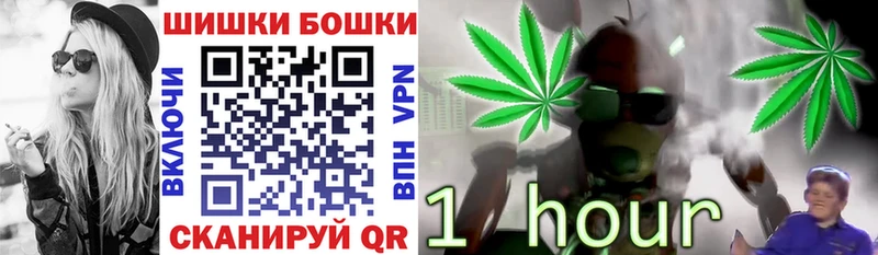 KRAKEN ссылка  купить наркоту  Грозный  Марихуана семена 